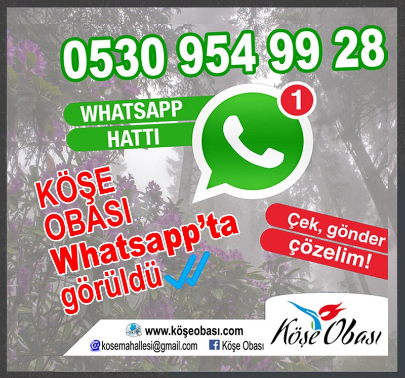 Whatsapp2